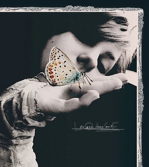 [butterfly[1].jpg]